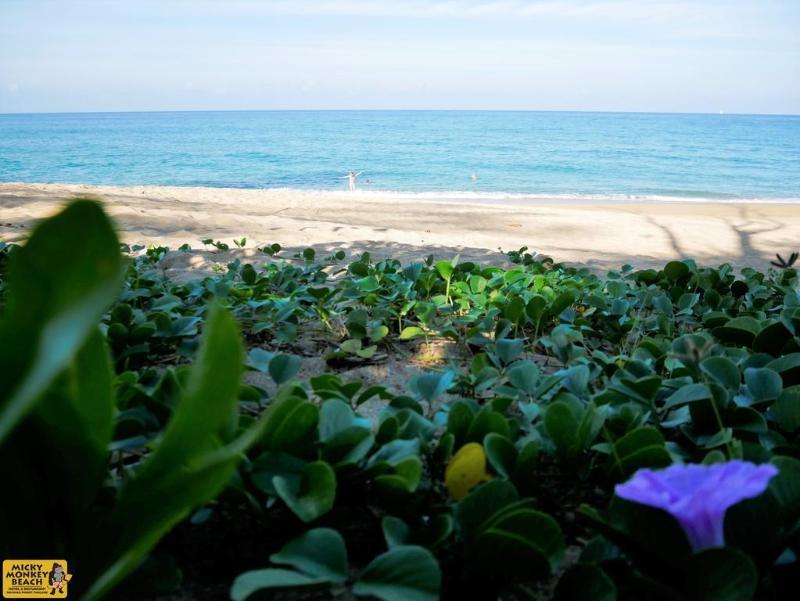 Micky Monkey Beach At Maikhao Beach Ξενοδοχείο Παραλία Μάι Κάο Εξωτερικό φωτογραφία